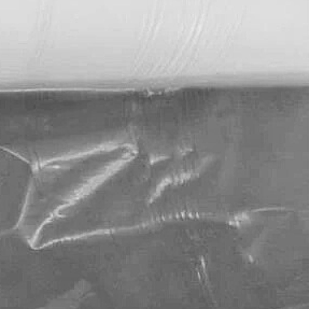 Pellicola trasparente stabilizzatore idrosolubile HF/F7 Avalon