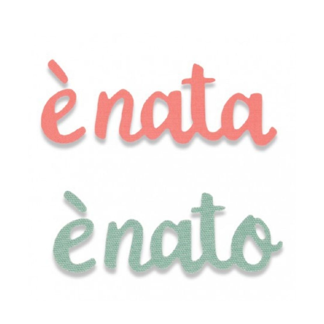 Fustella BigZ Sizzix 662970 è nata è nato