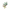 Sizzix Fustella Thinlits 662571 fogliame invernale