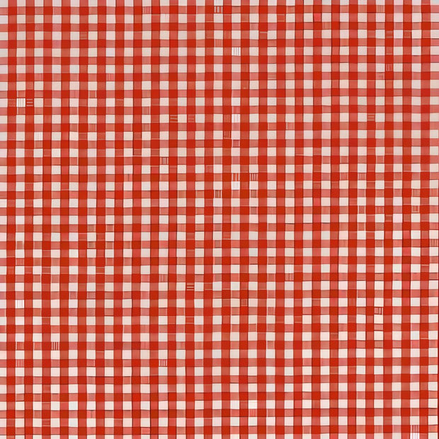 Tessuto in cotone americano HFT fantasia quadretti bianco e rosso P-5689-19