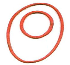 cinghia elastica