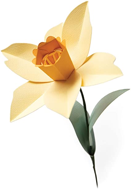 Fustella Sizzix BigZL 665107 Narciso